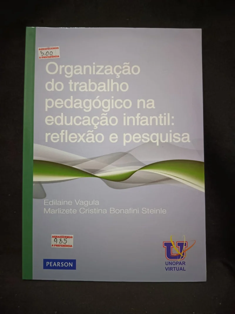 Organização do trabalho pedagógico na educação infantil: reflexão e pesquisa