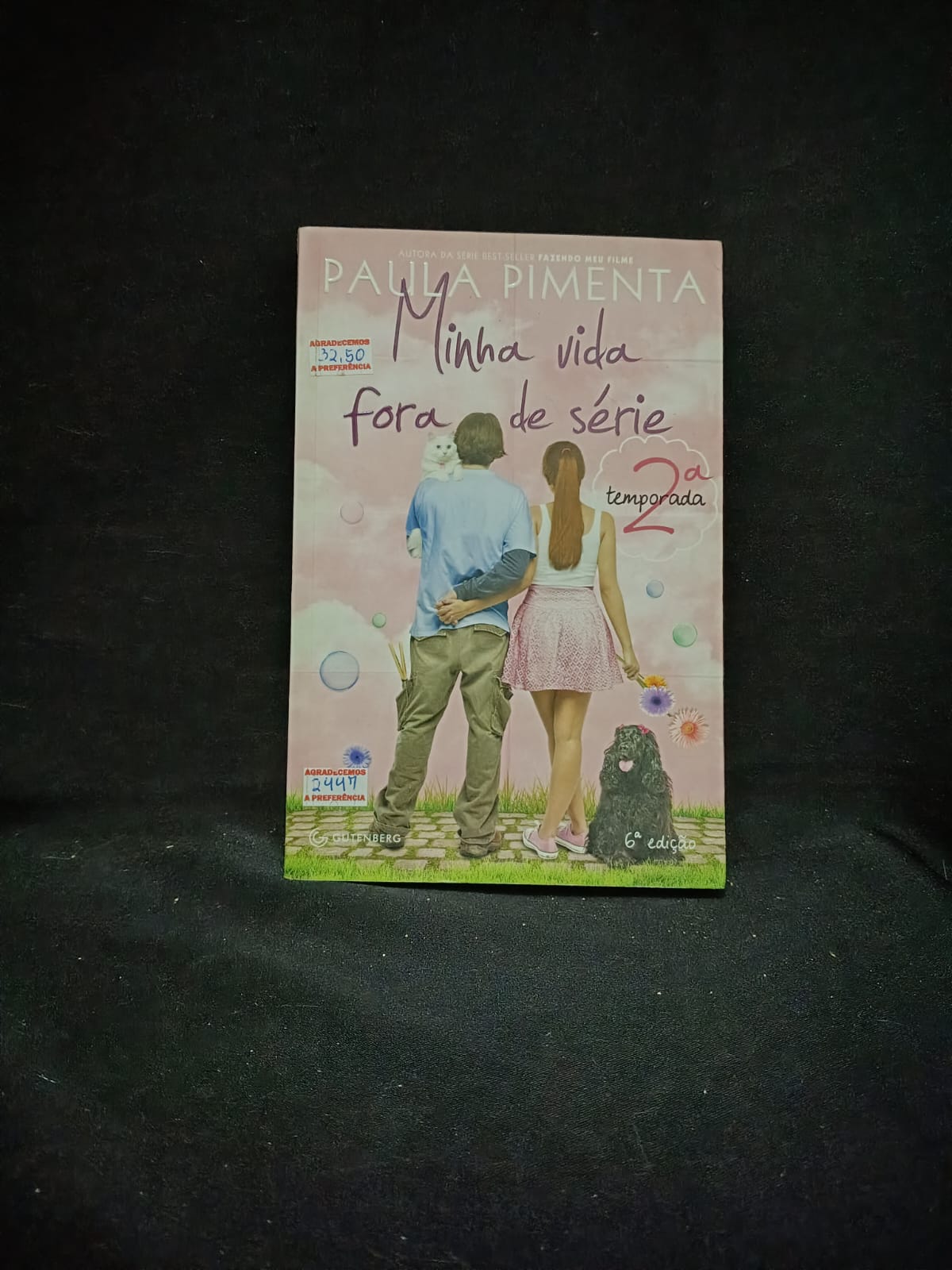 Minha Vida Fora de Série (2° Temporada)