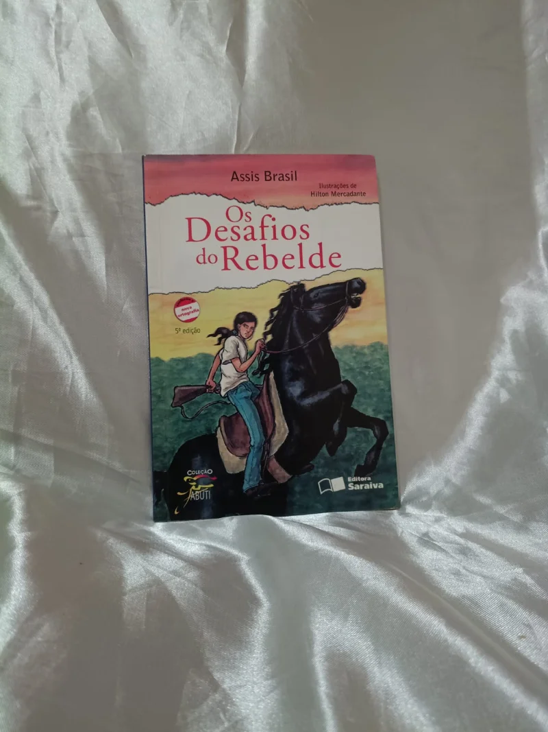 Os desafios do rebelde