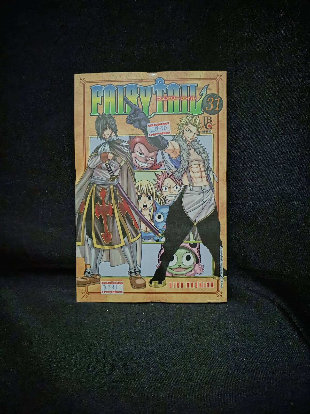 Fairy Tail Vol. 31