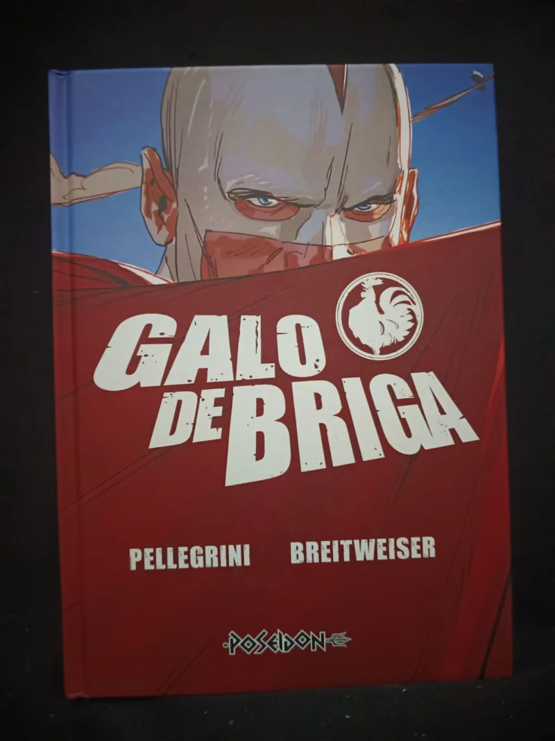 Galo de Briga