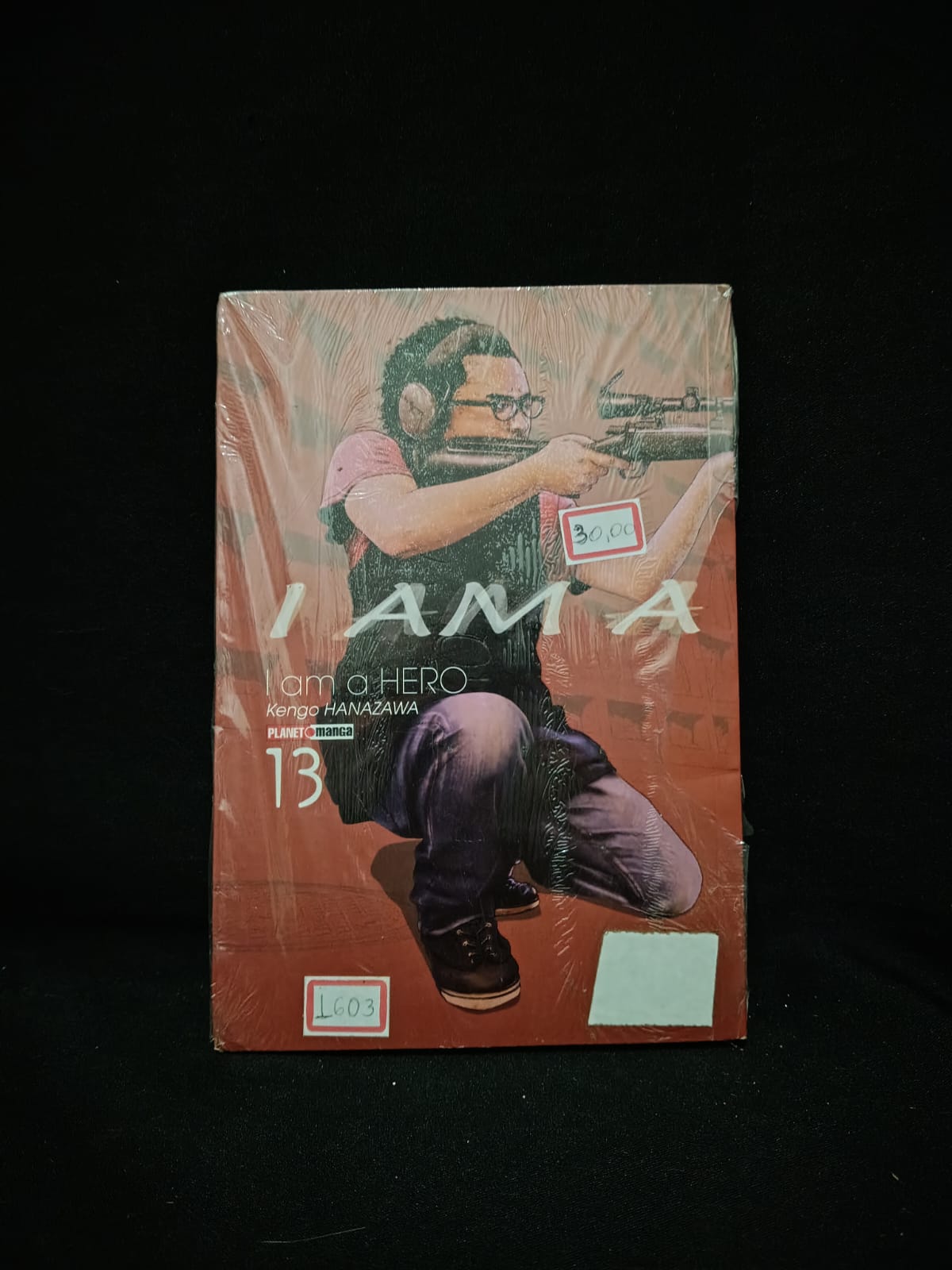 I am a Hero Vol. 13
