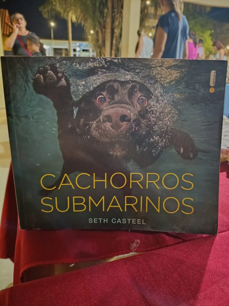 Cachorros Submarinos