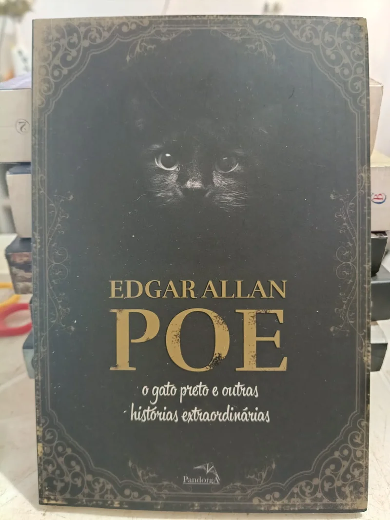 O gato preto e outras histórias extraordinárias