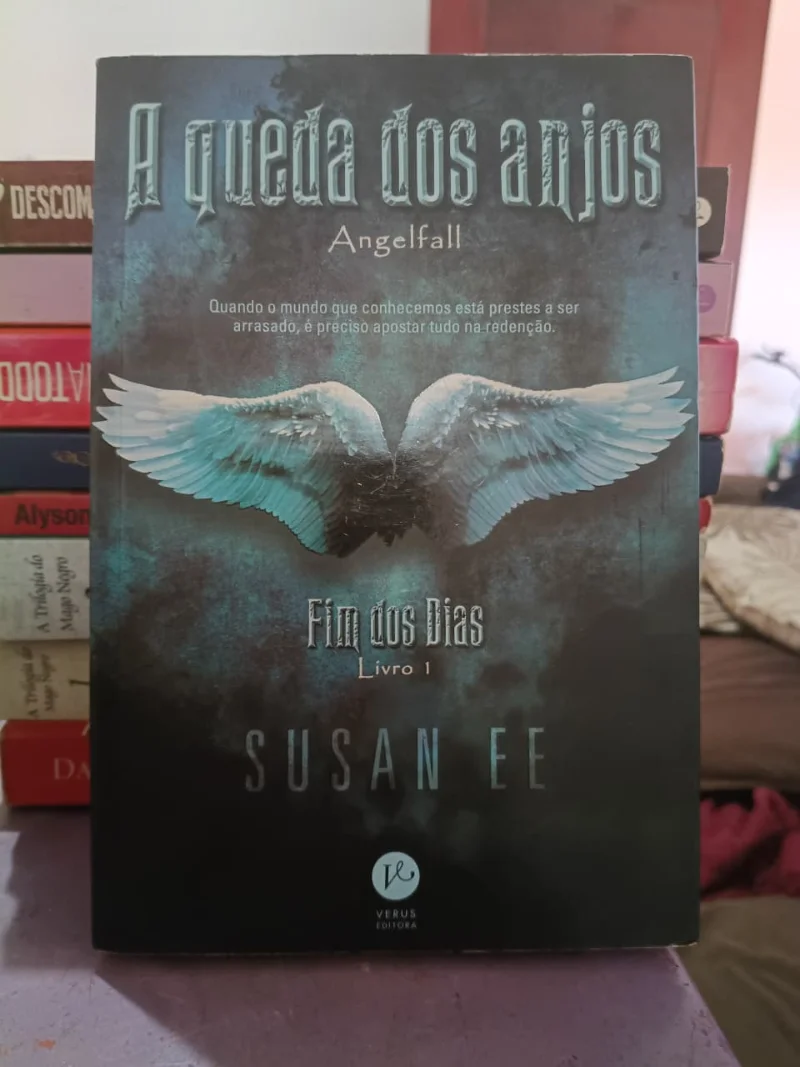 A queda dos anjos (Fim dos Dias Livro 1)