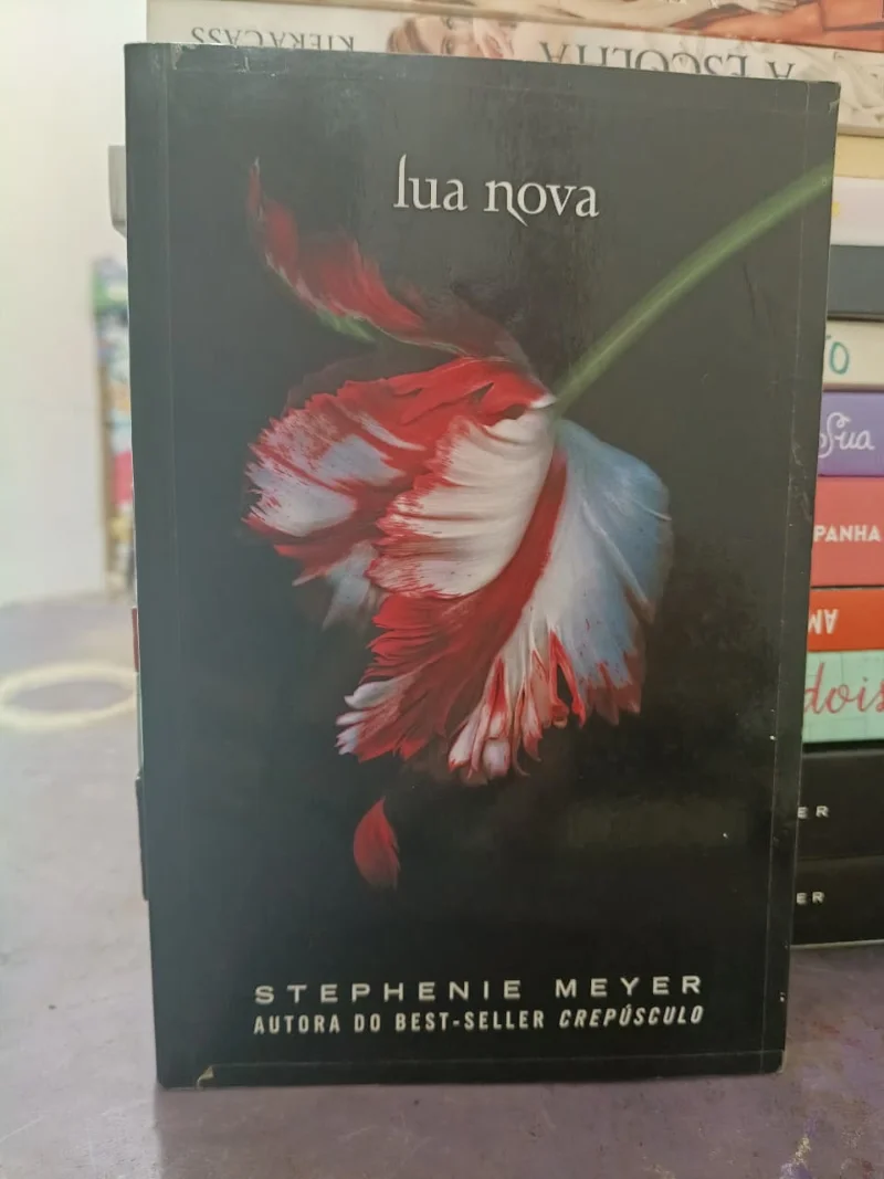 Lua Nova