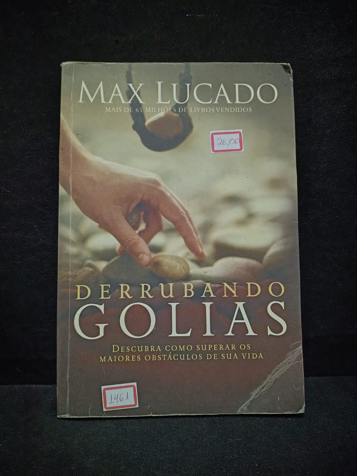 Derrubando Golias