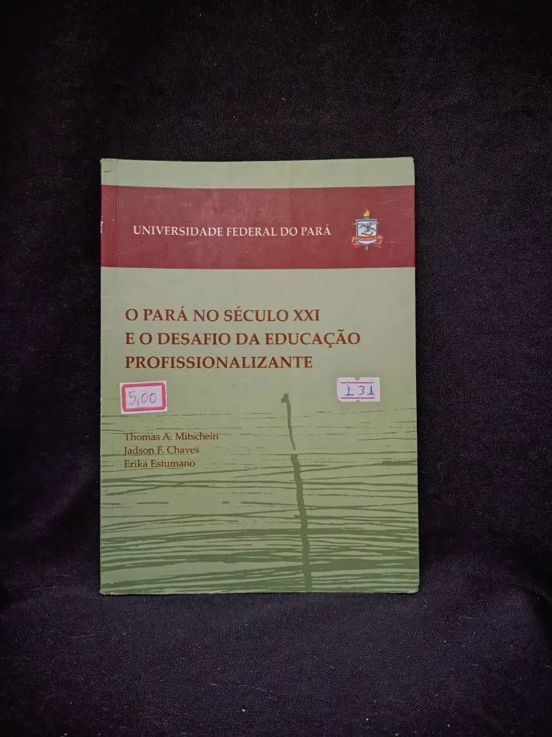 O Pará no Século XXI e o Desafio da Educação Profissionalizante