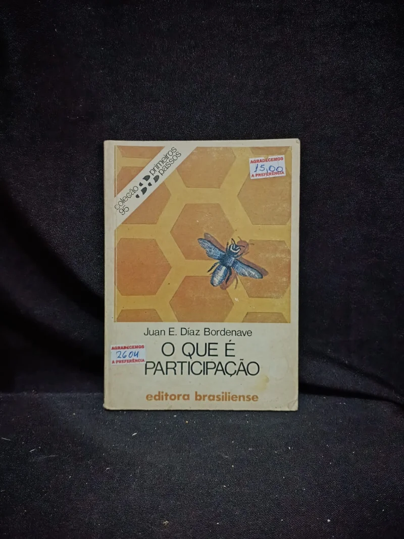 O Que é participação