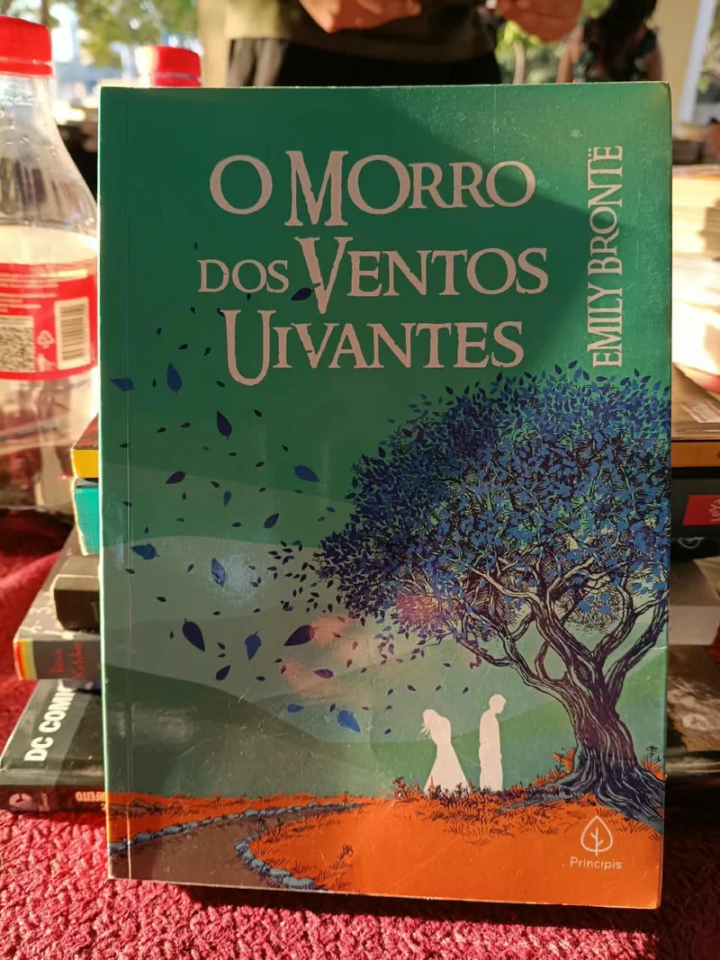 O Morro dos Ventos Uivantes