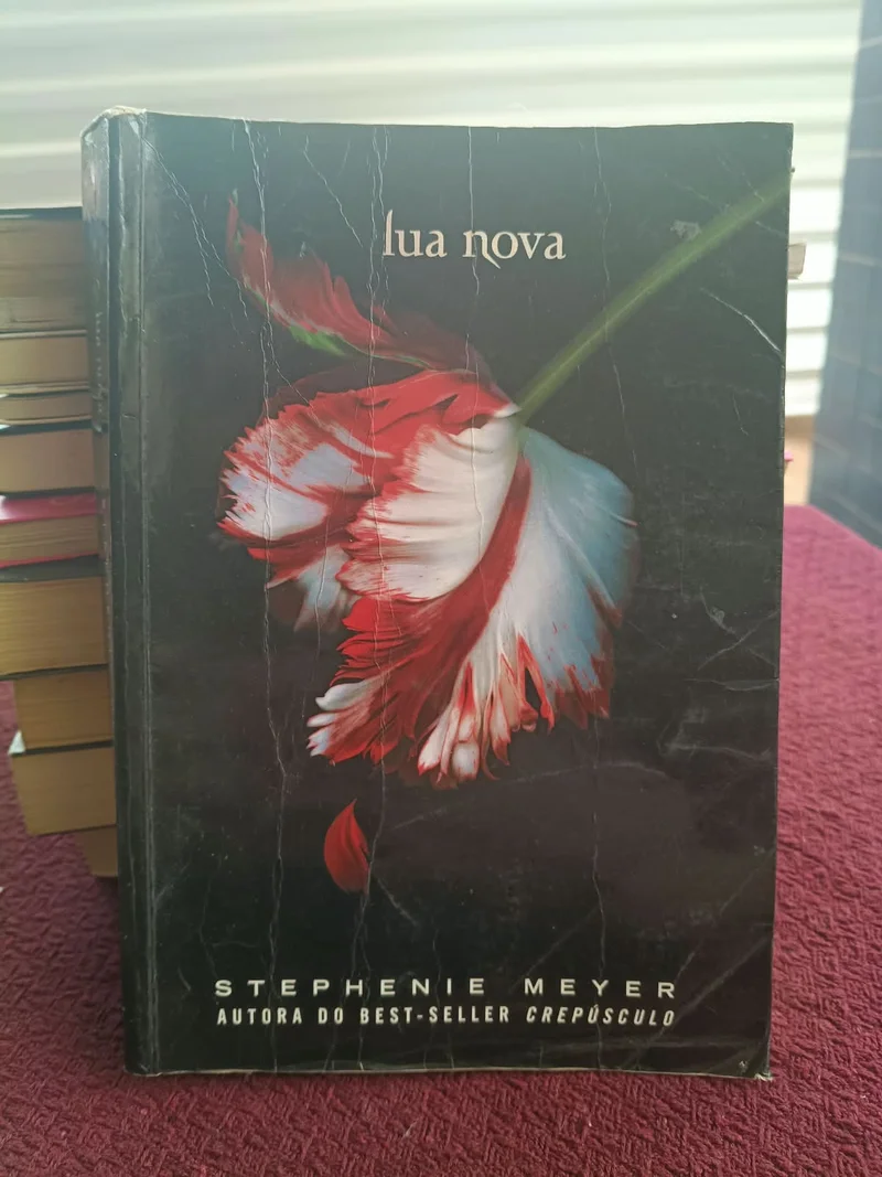 Lua Nova