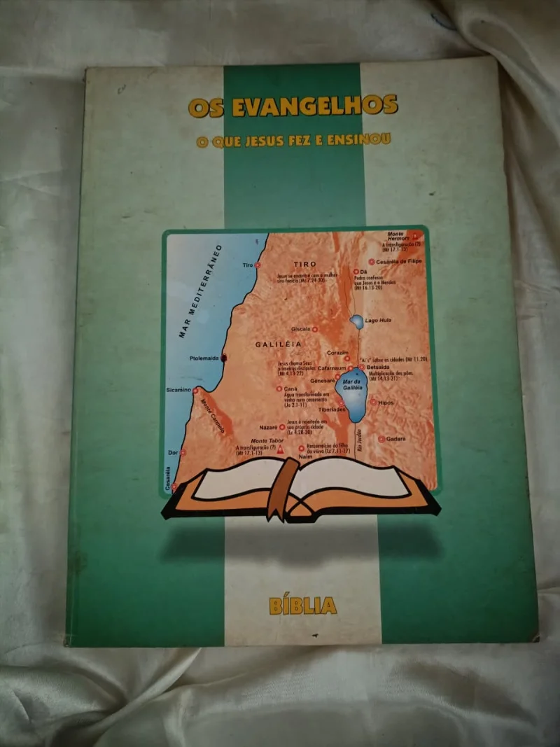 Os Evangelhos - o que Jesus fez e ensinou